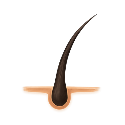 Vermindert haaruitval